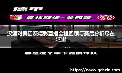 汉堡对美因茨精彩直播全程回顾与赛后分析尽在这里